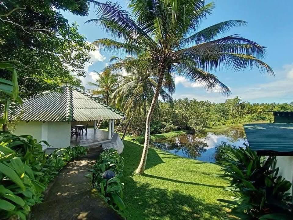 Jungle  Heart Cabana