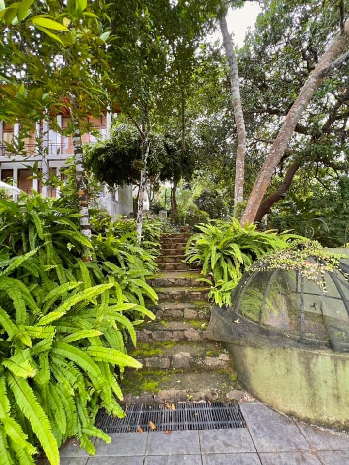 5 BEDROOM VILLA IN HIKKADUWA