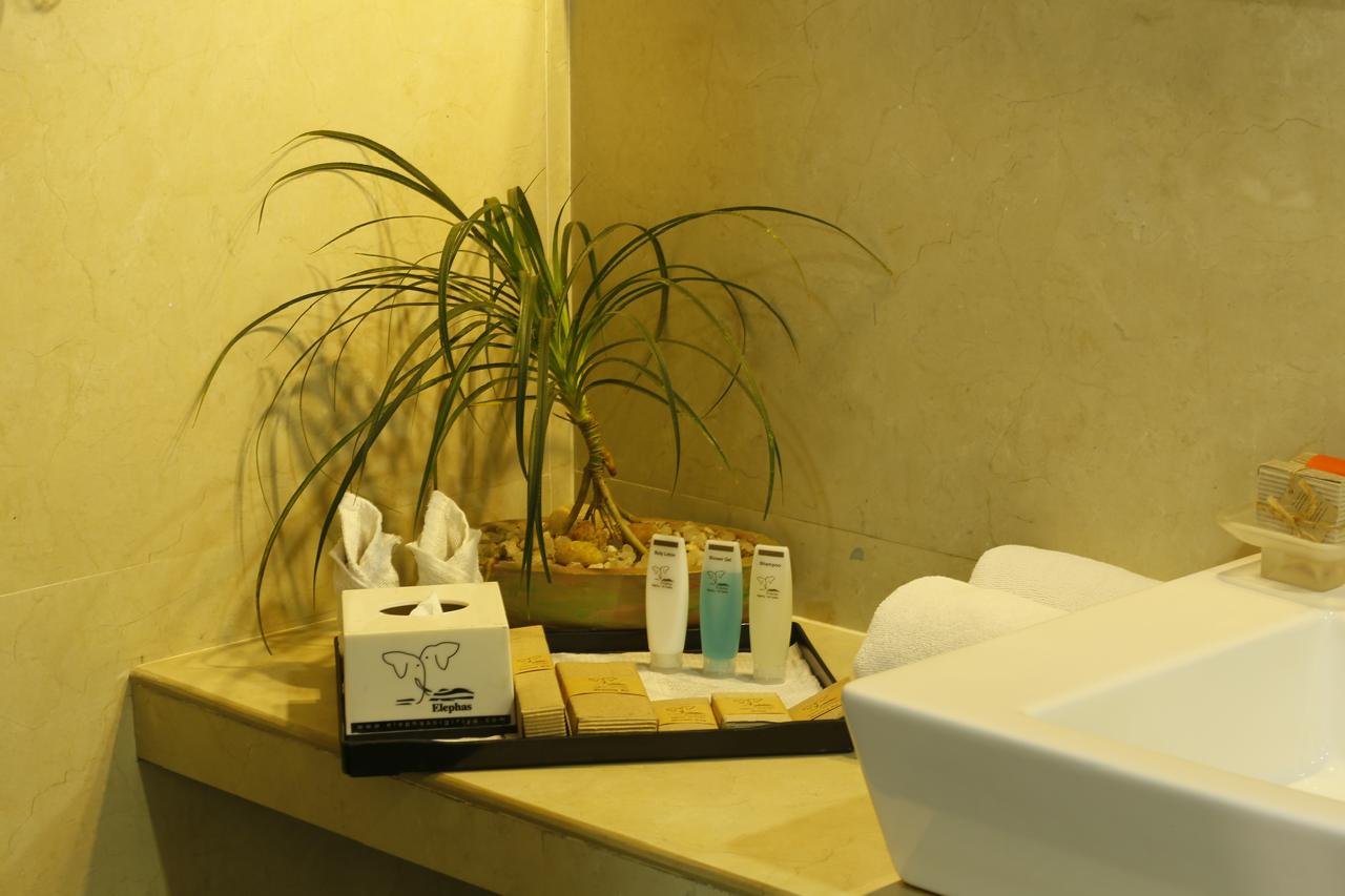 Elephas Resort & Spa